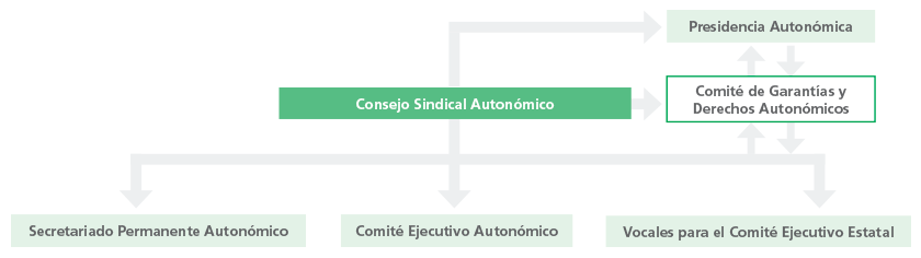 Estructura Autonómica