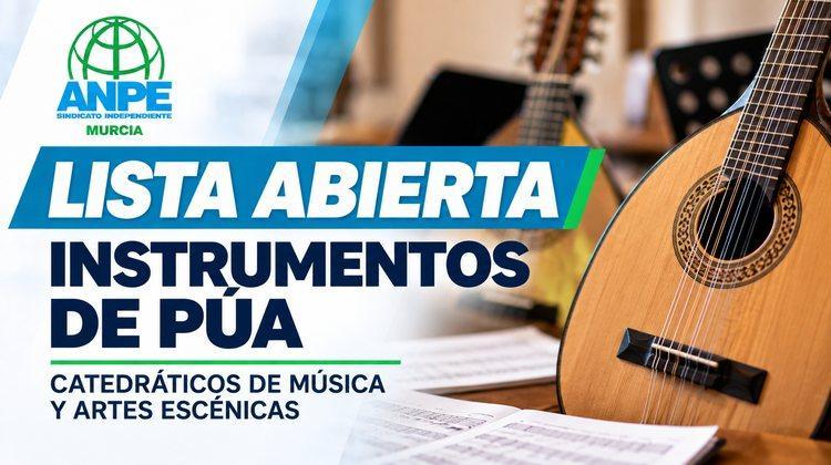 lista_abierta_instrumentos_pua_anpe_murcia_web