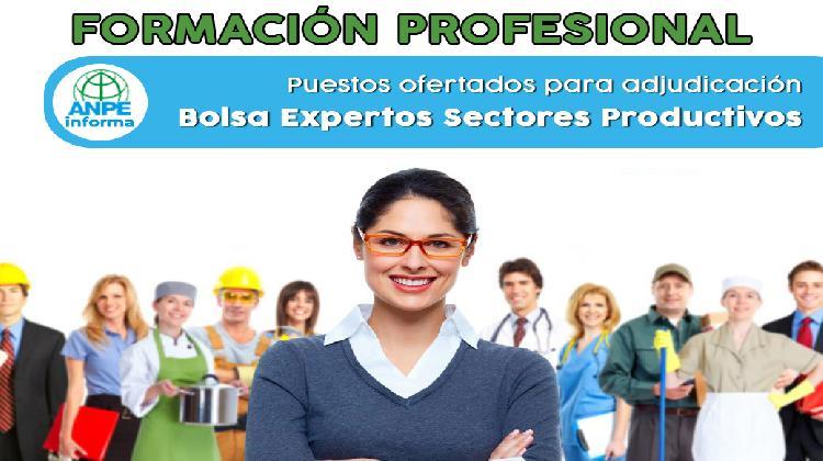 fp_bolsa_expertos_sectores_productivos_ofertapuest